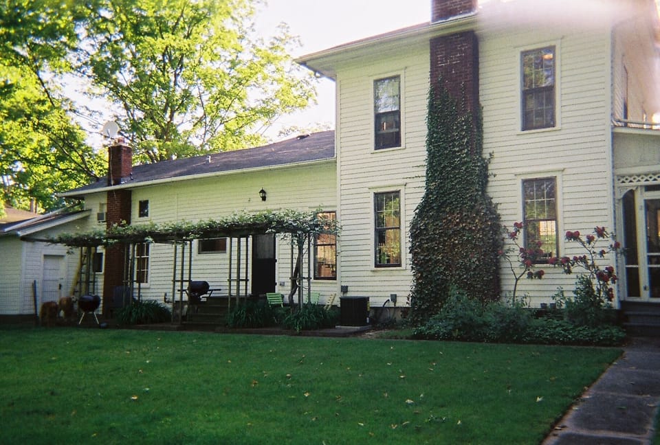 back yard
