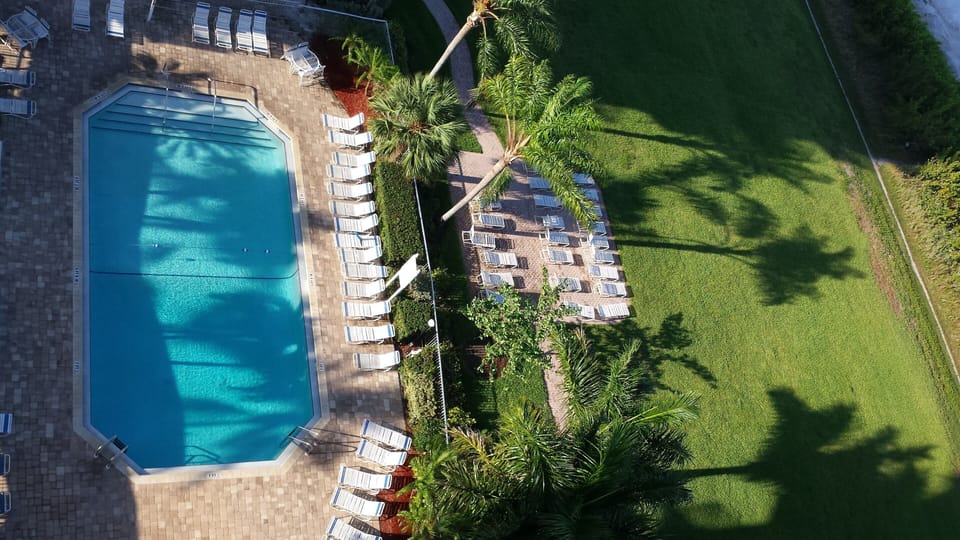 View of the pool.