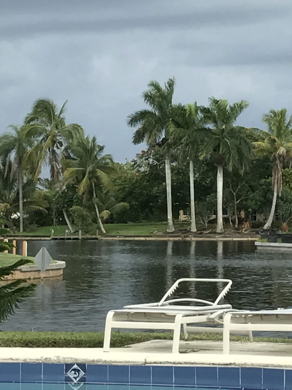 View from the pool. 