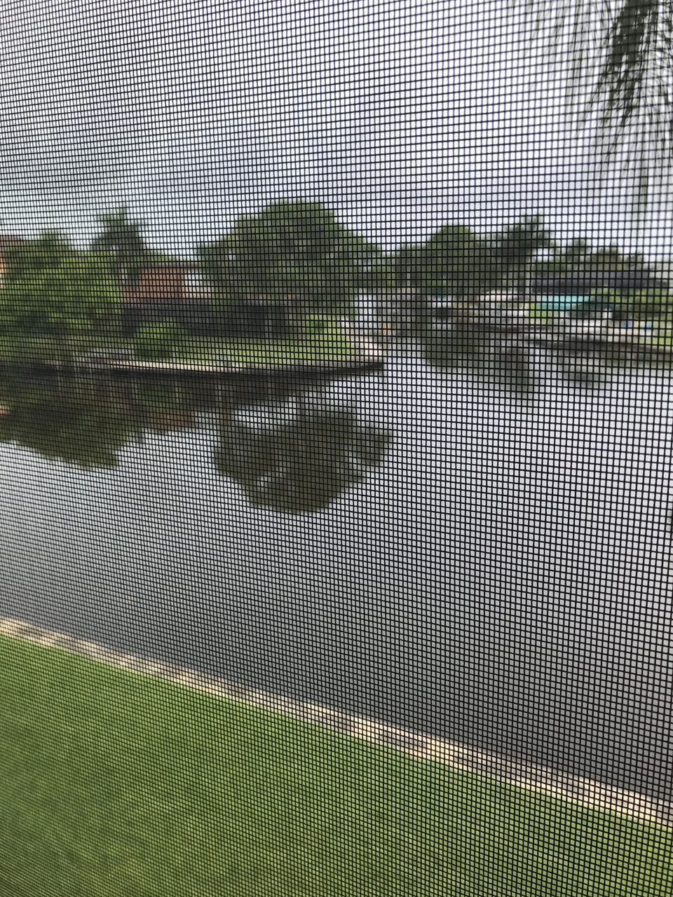 View from lanai. 