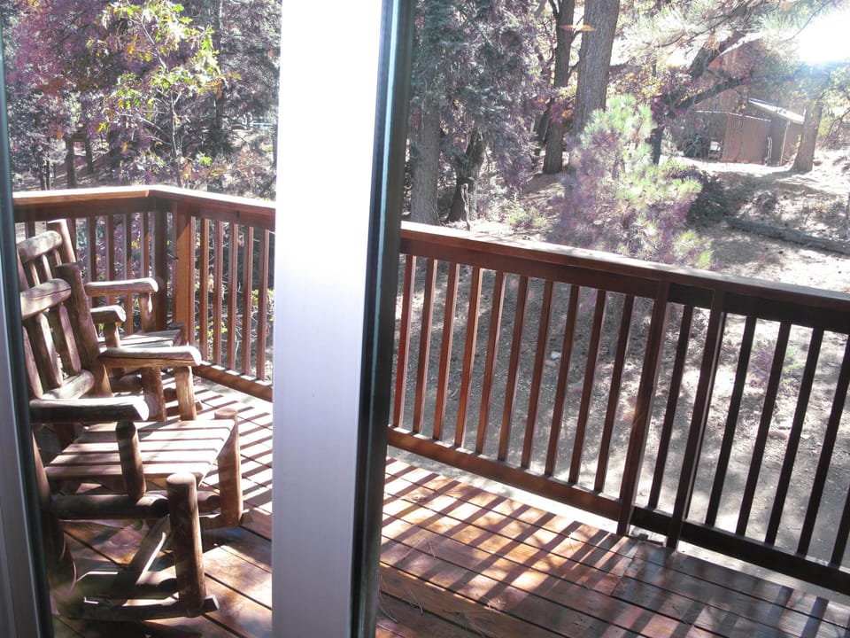 Forest view from upper deck