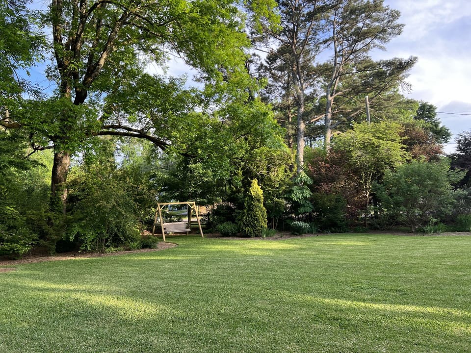 Big backyard with trampoline not shown. 