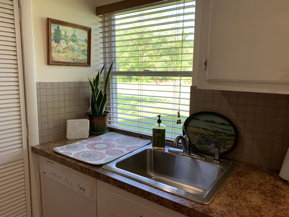 Kitchen window