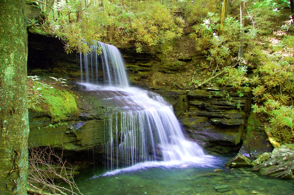 Take a hike to Three Falls in the Quehanna Wild Area.