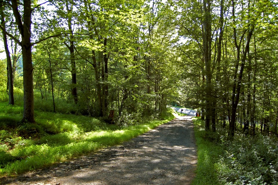 The road out...do you really want to leave?