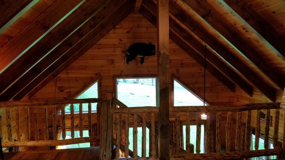 He puts the "bear" in Bear Foot Cabin. 