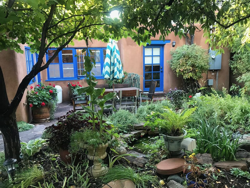 Front yard - house through greenery