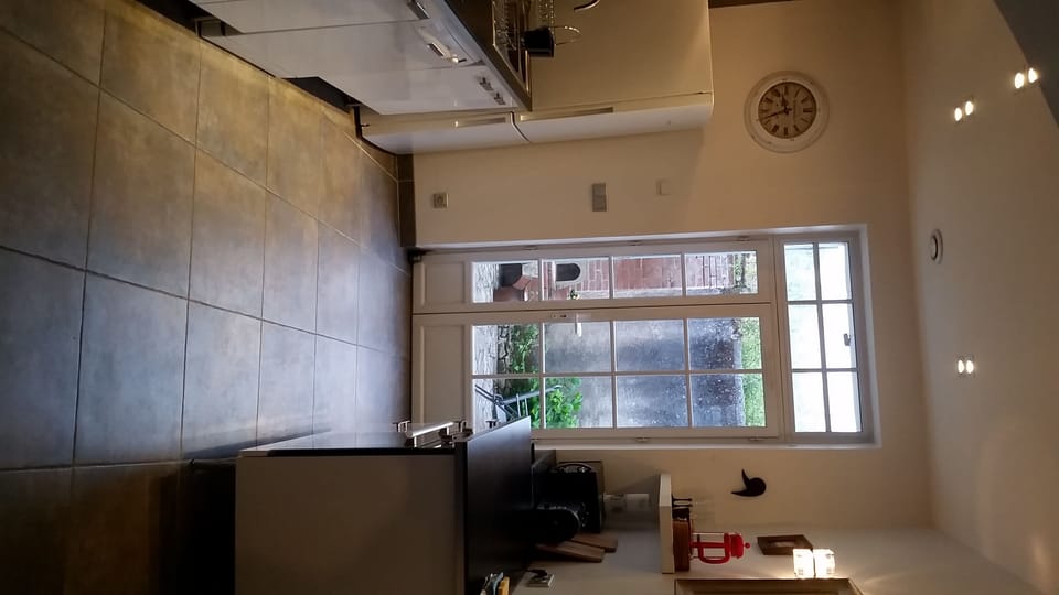 Kitchen looking out to private courtyard