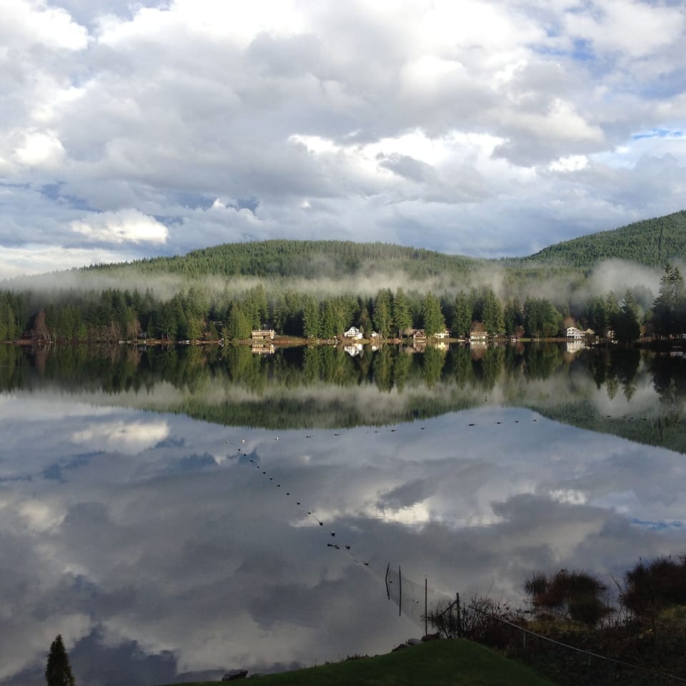 Kings Cove~
The lake has many moods.