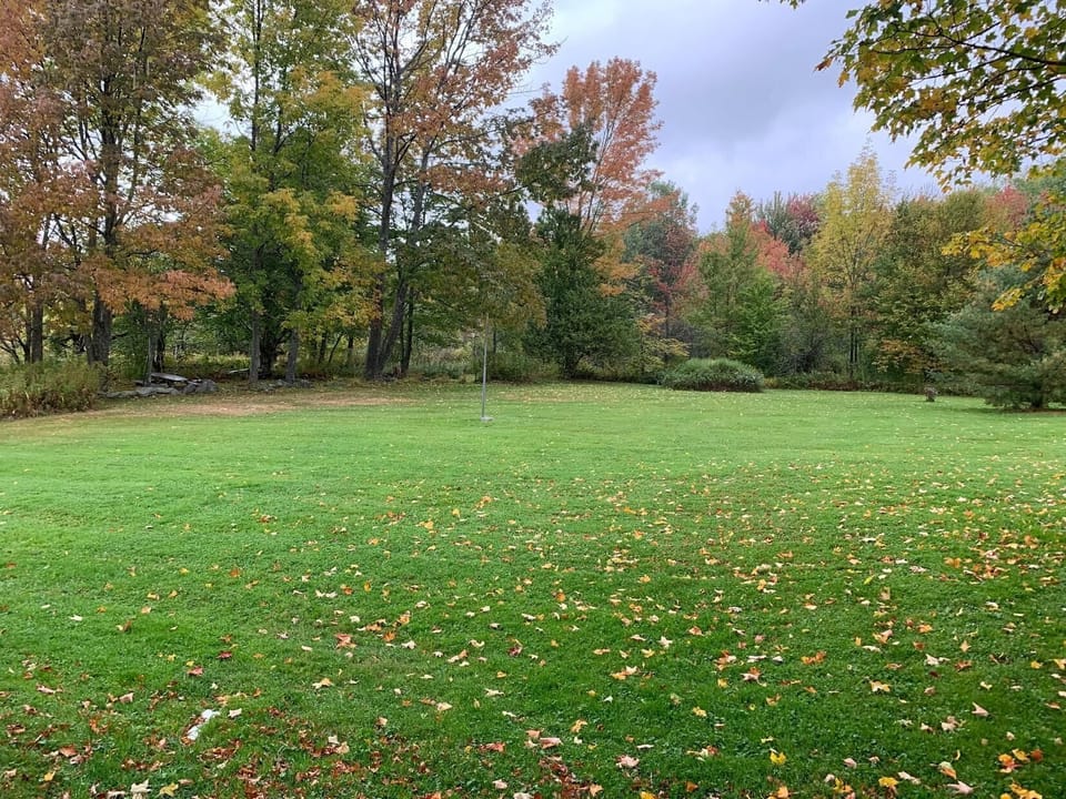 Watch the leaves change colors.