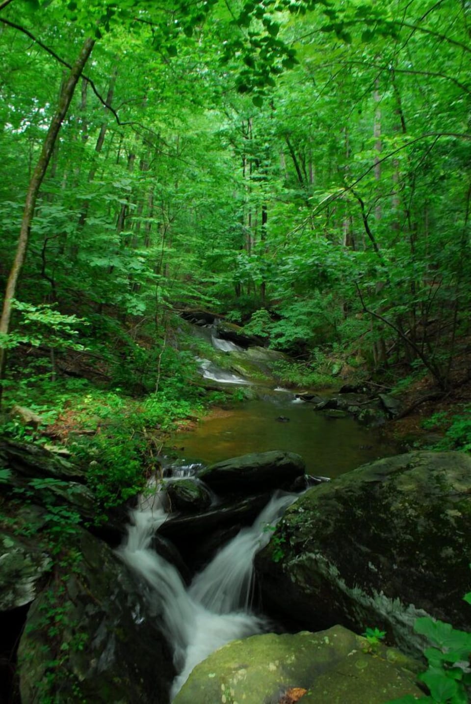 Wintergreen has over 30 miles of well-maintained trails on 11,000 acres.