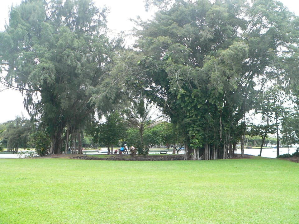 Park behind house. 