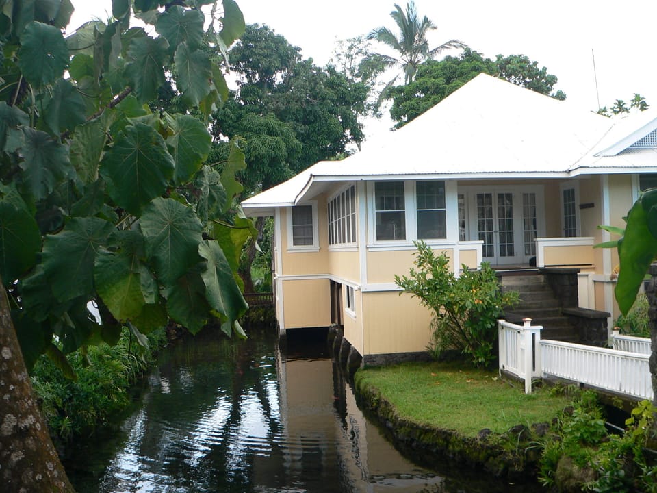 Home built over brackish pond, full of fish and turtles.
