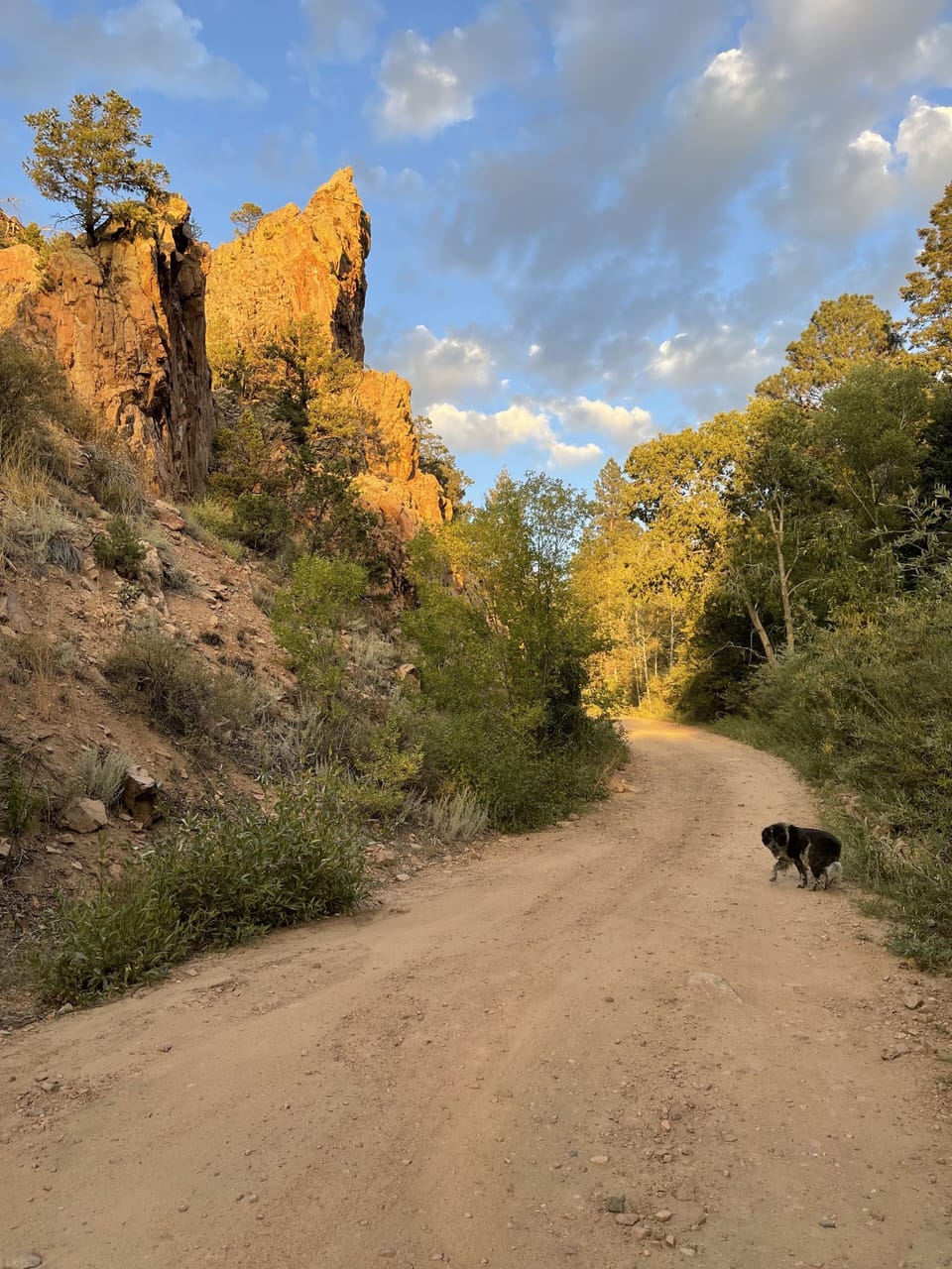 Up the road from the cabin. Excellent hiking in the summer, skiing in winter.