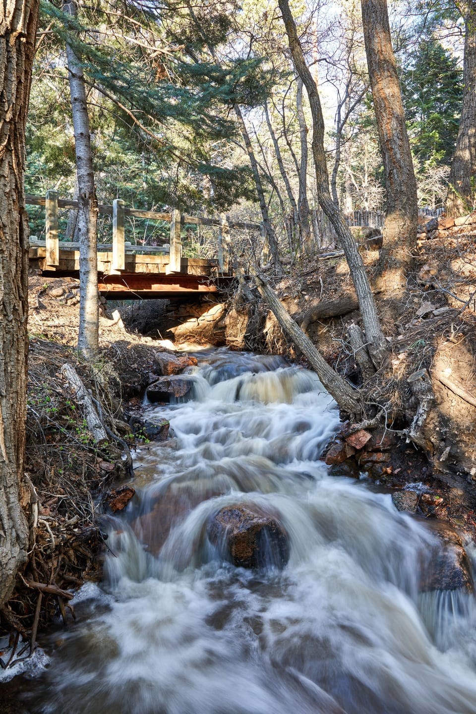 The creek in spring time!