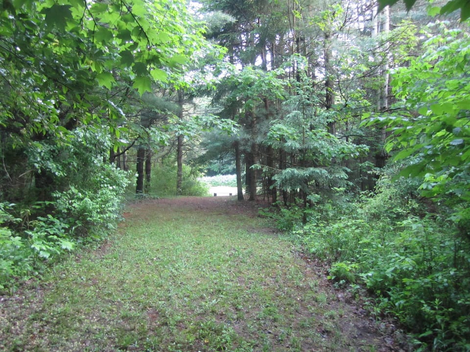 Down a short path through the woods...