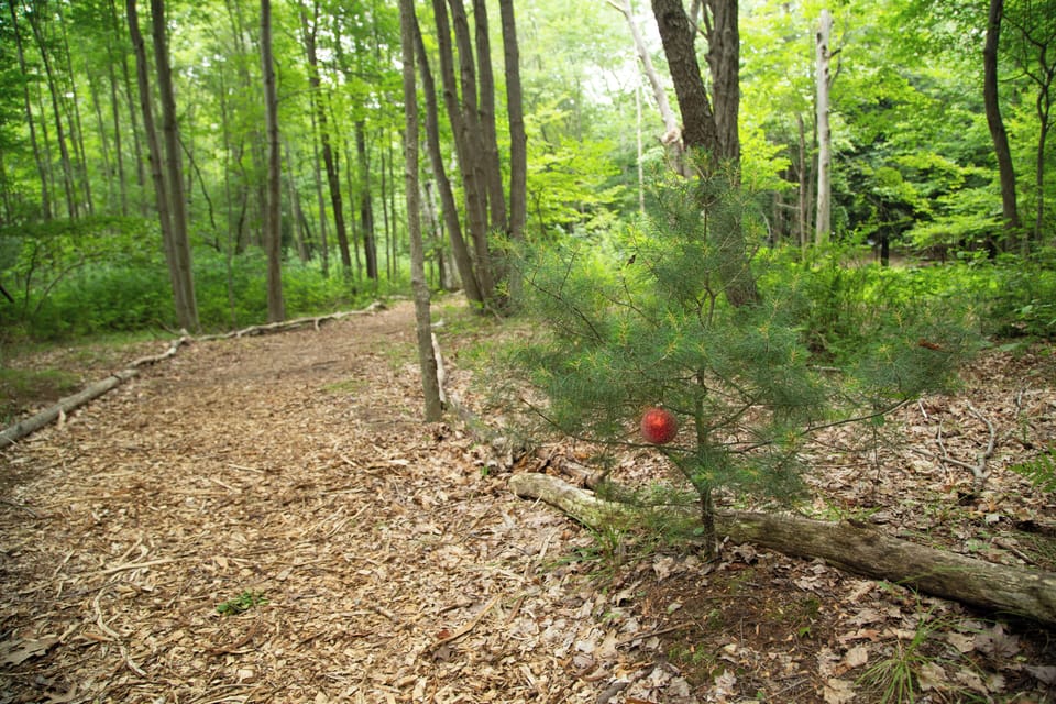 River Dream Trail