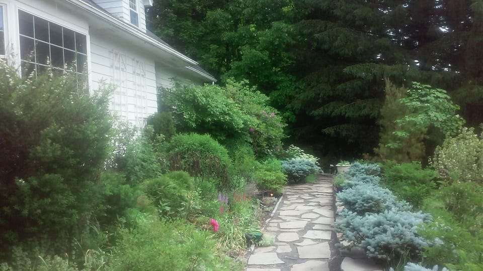 Front of the house