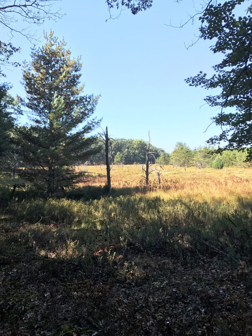 View from the trails on the property! 