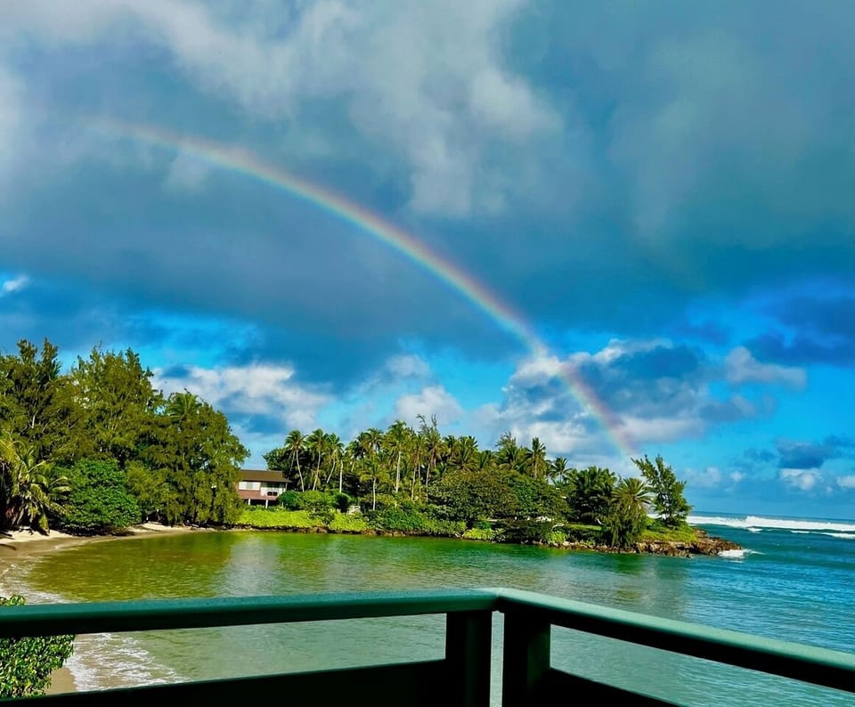 Daily Rainbows
