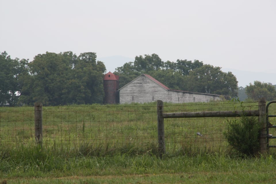 Side view of pasture