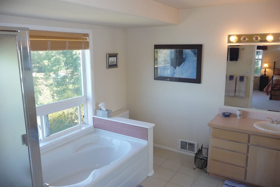 master bath - tub and shower