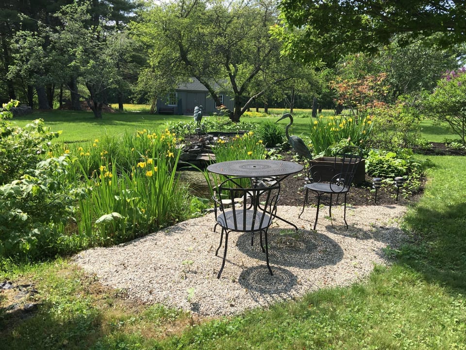 Front Pond