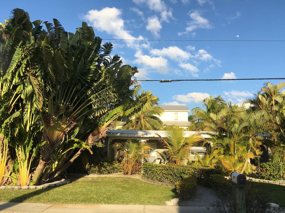 Street view of our island paradise. Corner lot provides privacy



