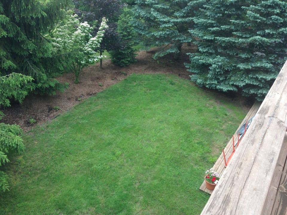 PRIVATE BACK YARD