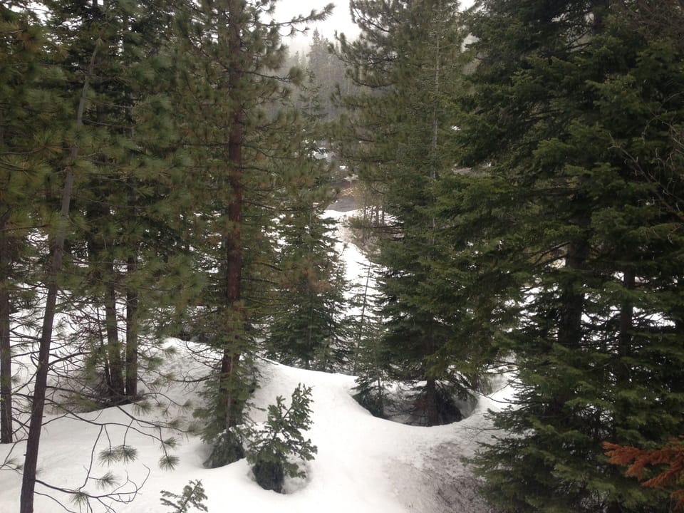 backyard view from deck