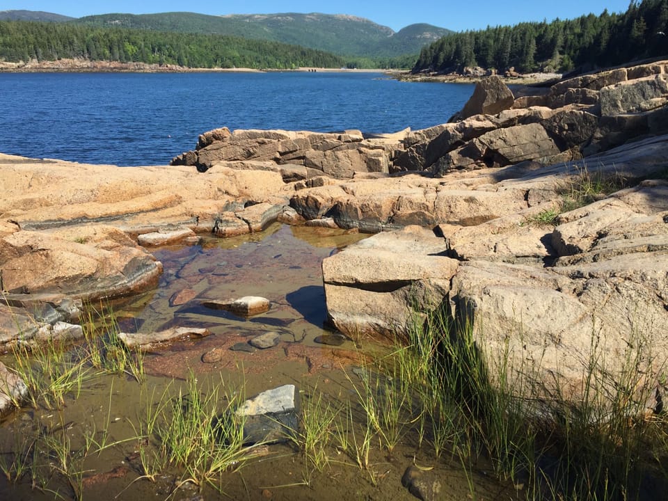 Tide pool exploring along the coast at beautiful Otter Cove.