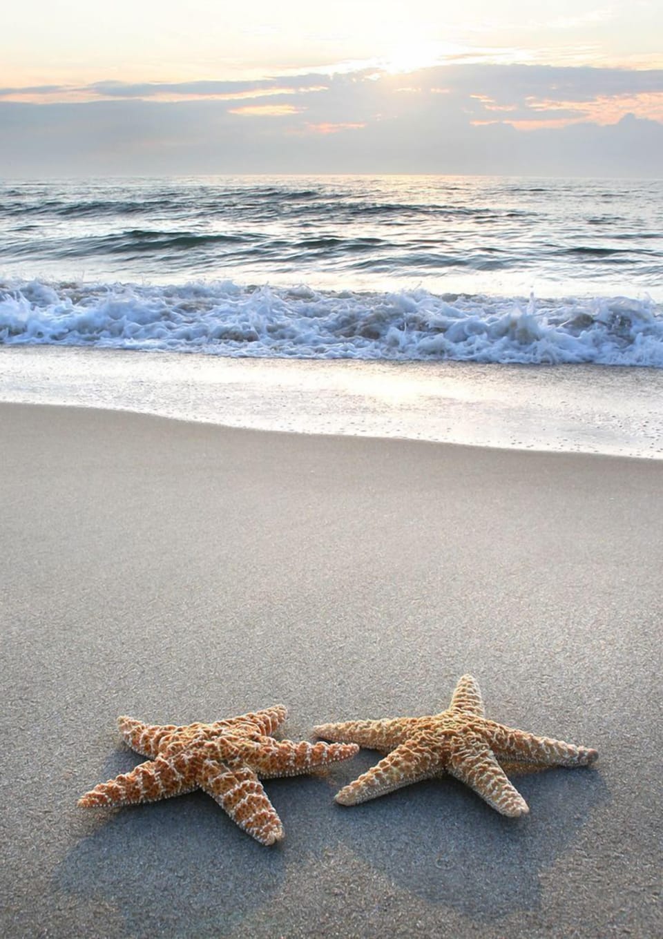 Relax at the Sea Star Cottage....remember you're on Island time :-)
