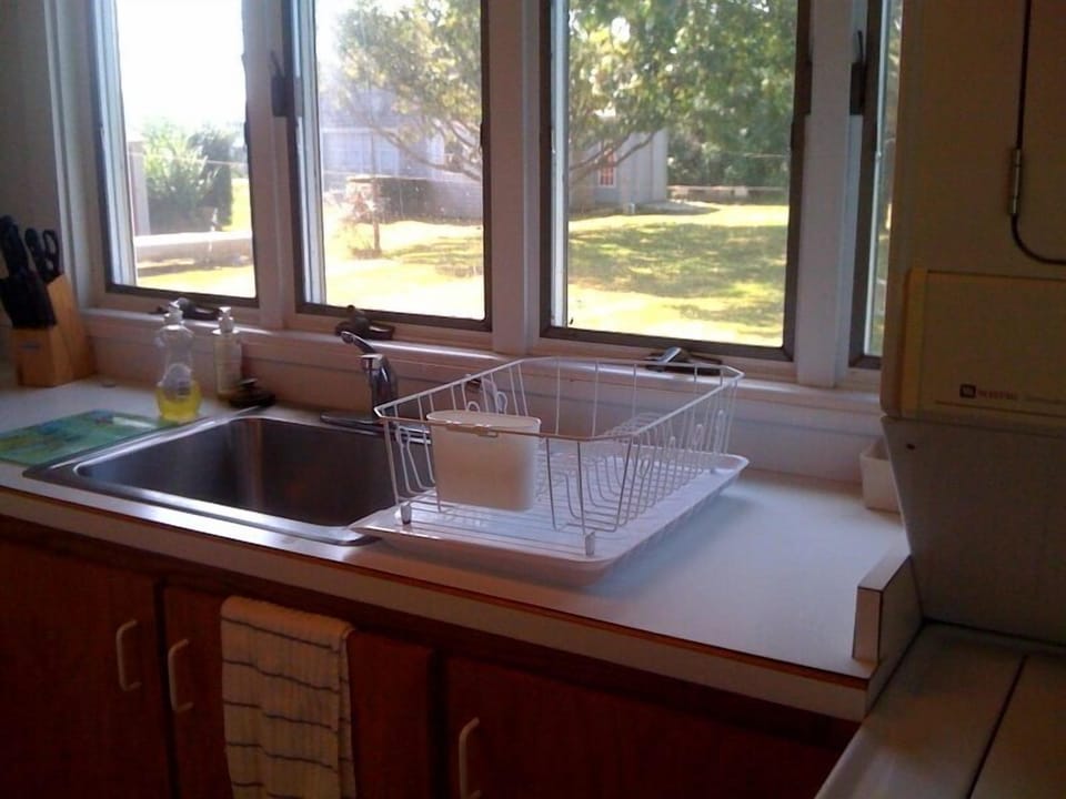 View from the kitchen sink onto the back yard.