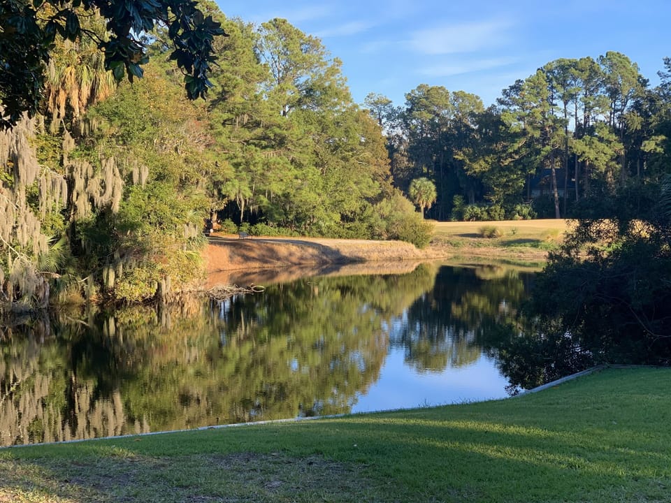 Such a peaceful view. Abundance of wildlife to watch, binoculars are in villa