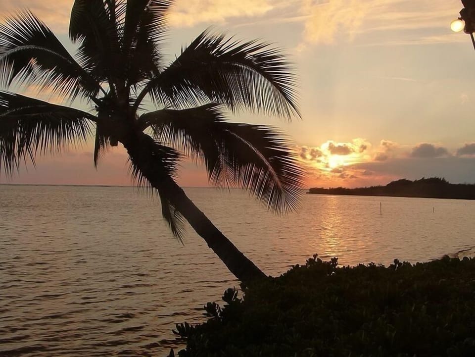 Aloha Sunset