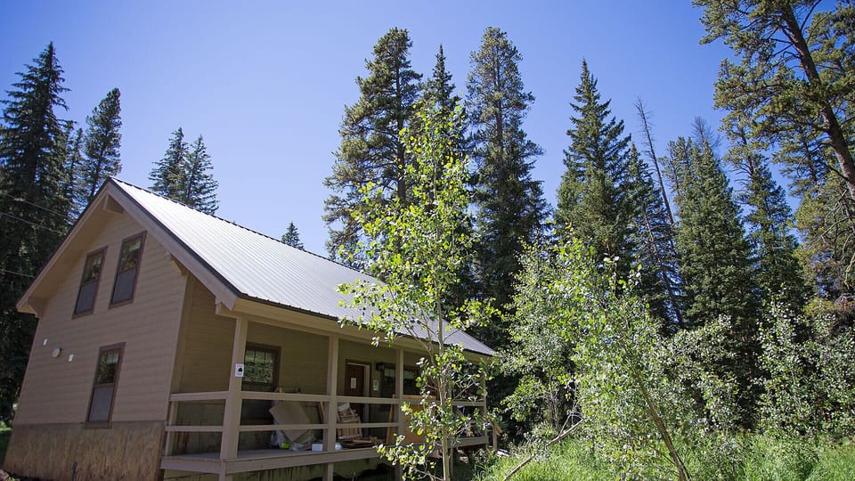 The Ursa cabin is nestled next to aspen and pine trees.