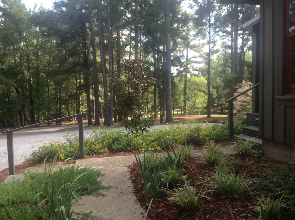 View of driveway and front yard