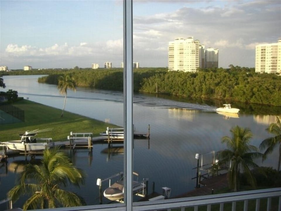 Patio View