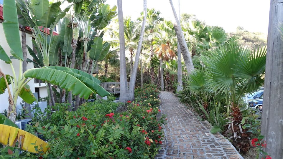 Walkway to the Unit