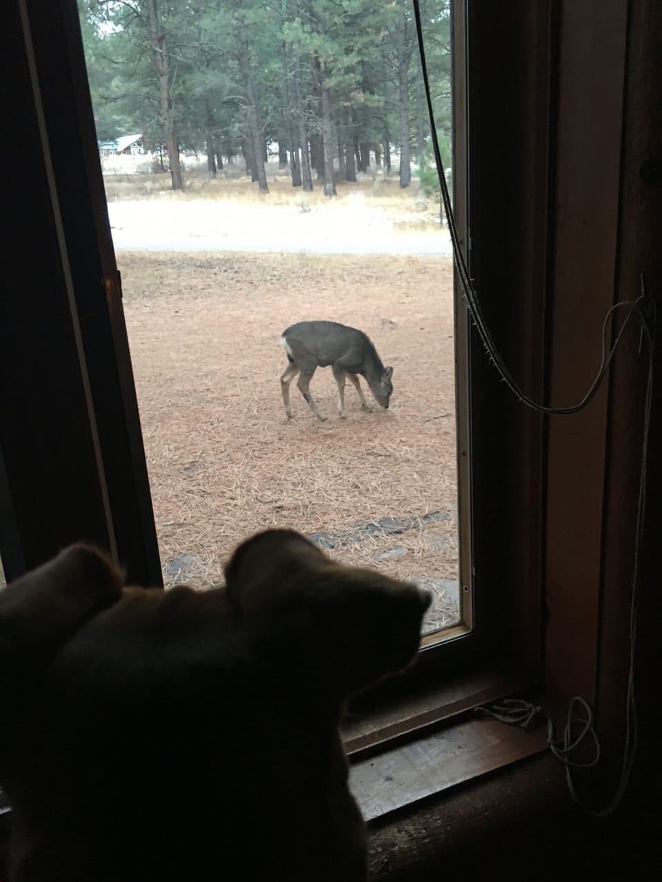 Neighbors