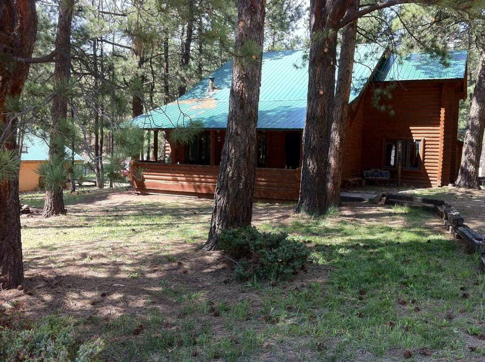 Front yard.