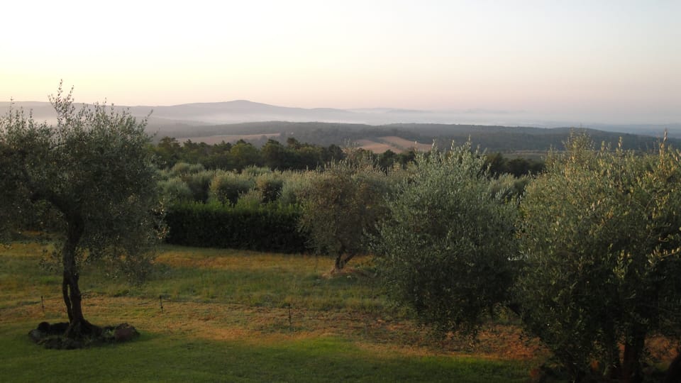 Amazing view from the back terrace