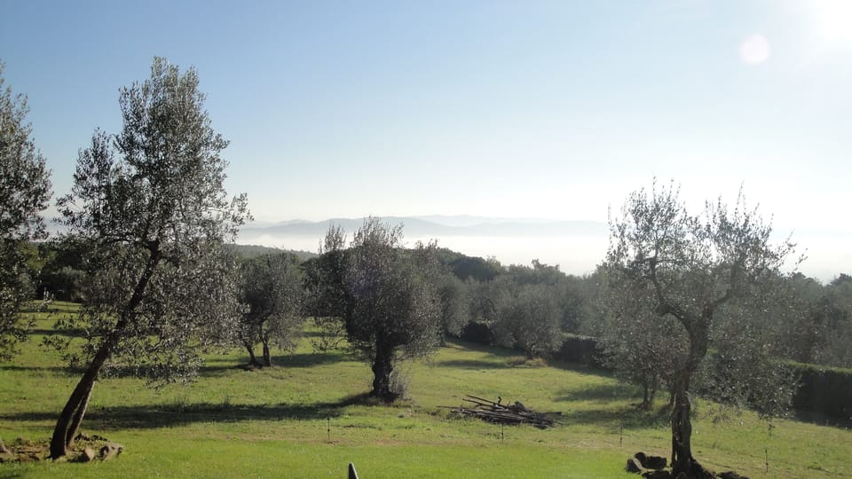 Amazing view from the back terrace