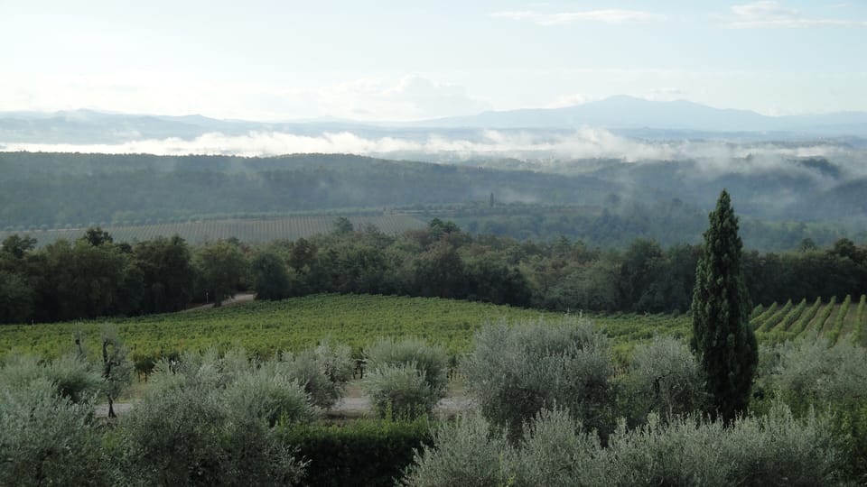 Amazing view from the back terrace