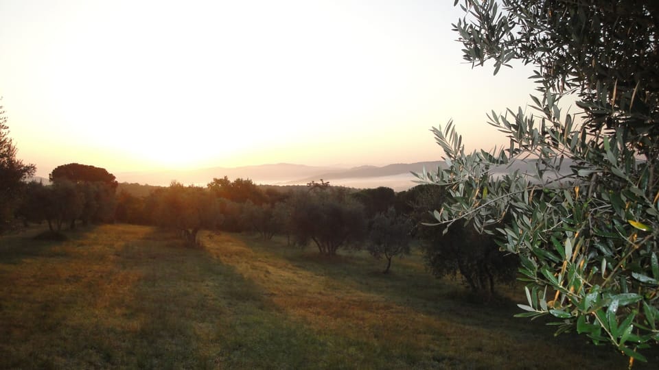 Amazing view from the back terrace