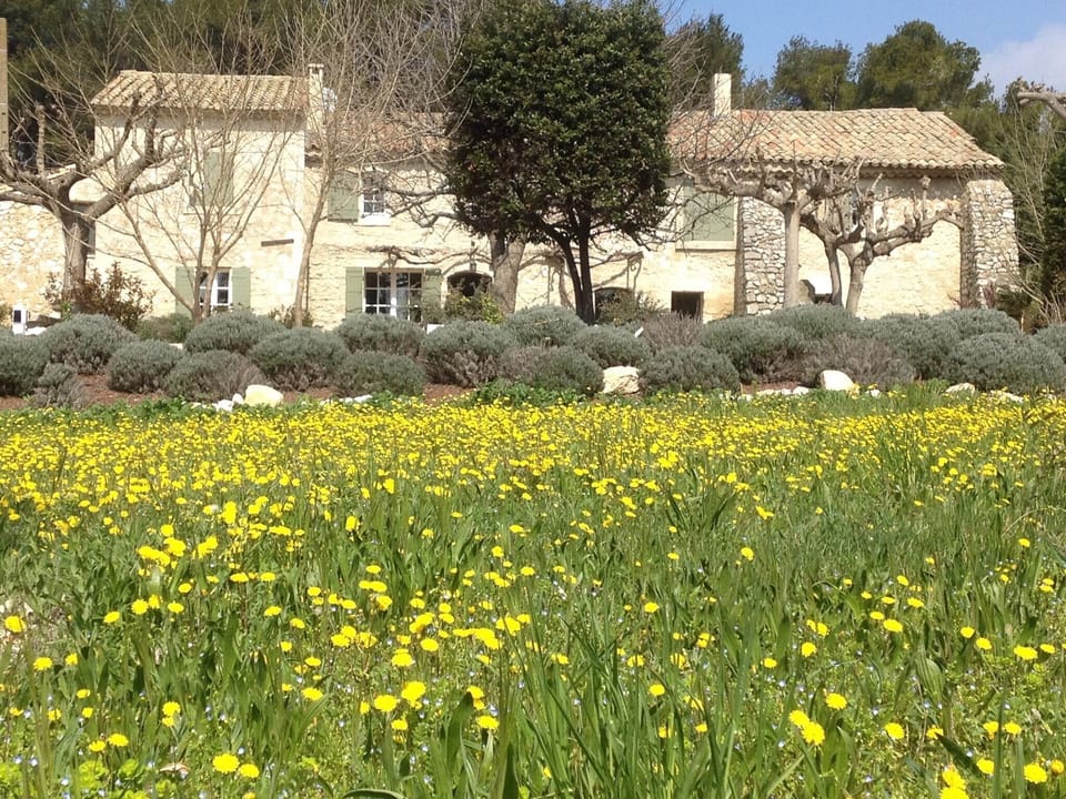 VIEW OF HOUSE FROM GARDEN