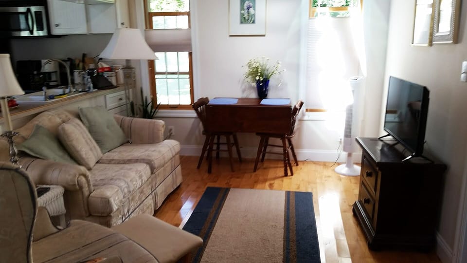 Cottage living room with new flat screen TV (2017)