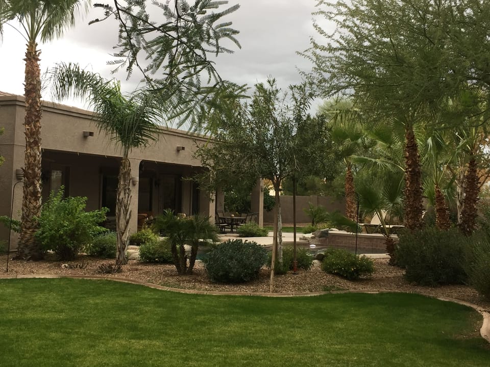 The lush backyard oasis features patio, pool, grassy space and fruit trees.