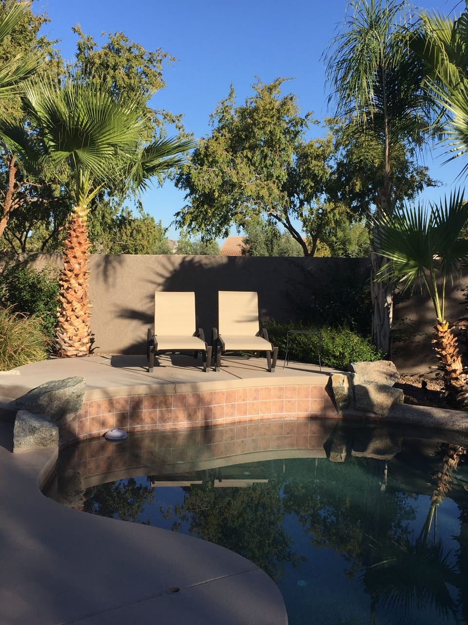 Ahhh, relax on the loungers and enjoy sunny Arizona!