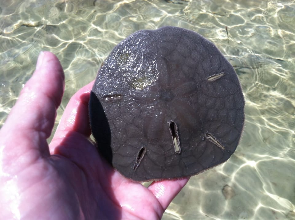 Finding all kinds of treasures..